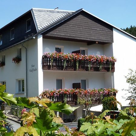 Pension Haus Waldfrieden, Meinecardplus Inklusive Willingen  Ngoại thất bức ảnh
