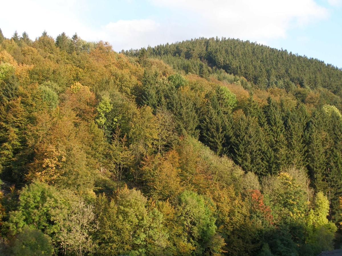Pension Haus Waldfrieden, Meinecardplus Inklusive Willingen  Phòng bức ảnh