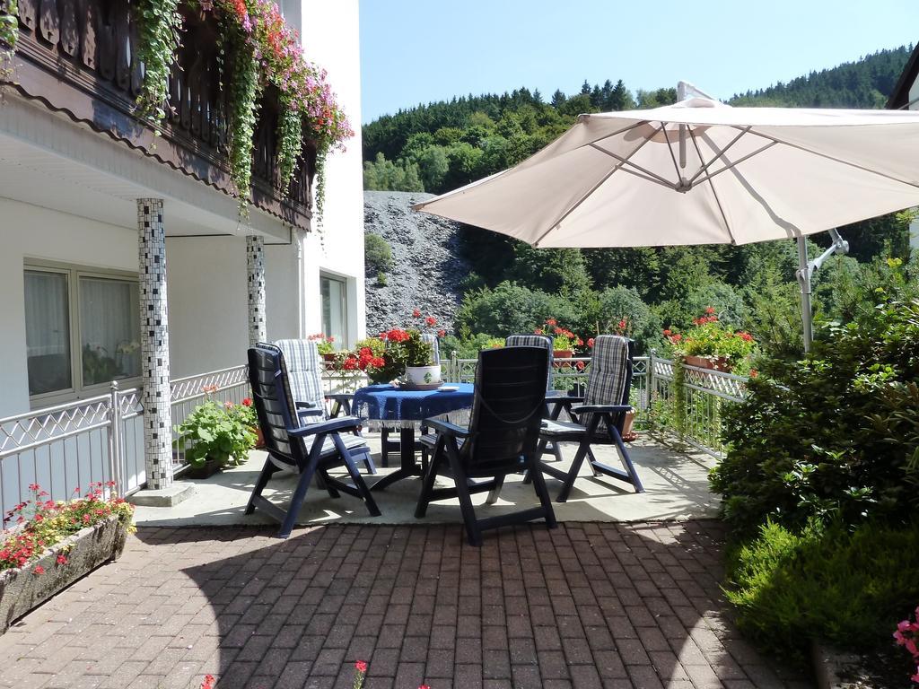 Pension Haus Waldfrieden, Meinecardplus Inklusive Willingen  Ngoại thất bức ảnh