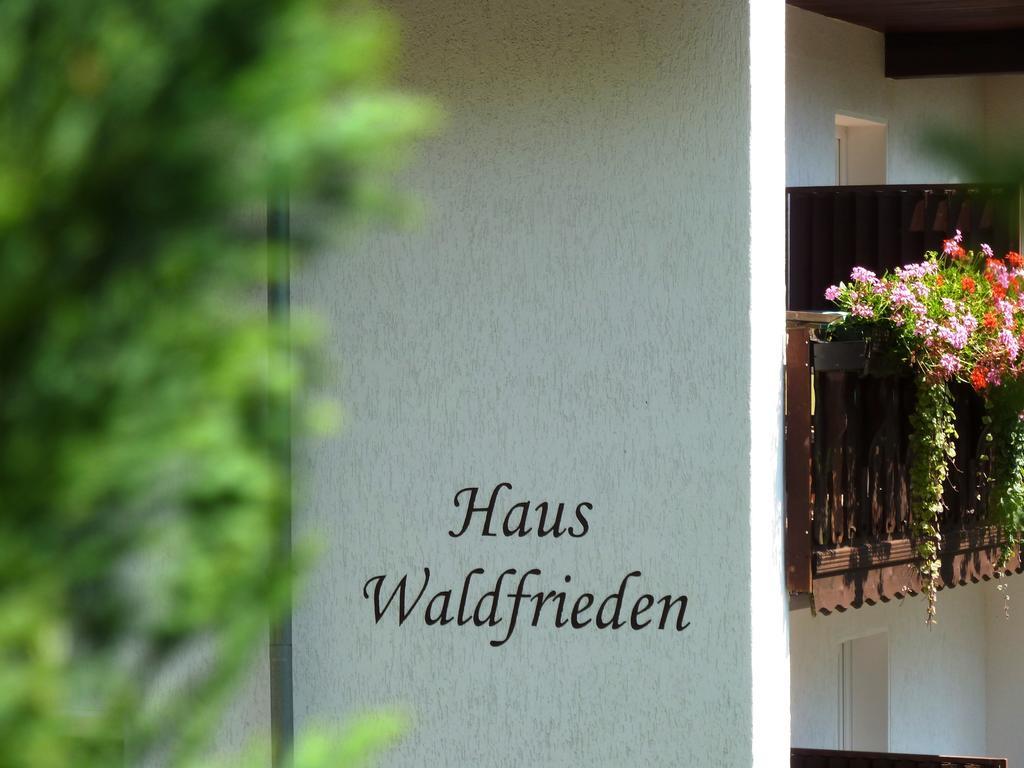Pension Haus Waldfrieden, Meinecardplus Inklusive Willingen  Ngoại thất bức ảnh