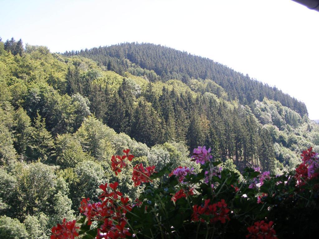 Pension Haus Waldfrieden, Meinecardplus Inklusive Willingen  Ngoại thất bức ảnh