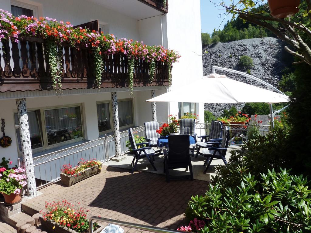Pension Haus Waldfrieden, Meinecardplus Inklusive Willingen  Ngoại thất bức ảnh