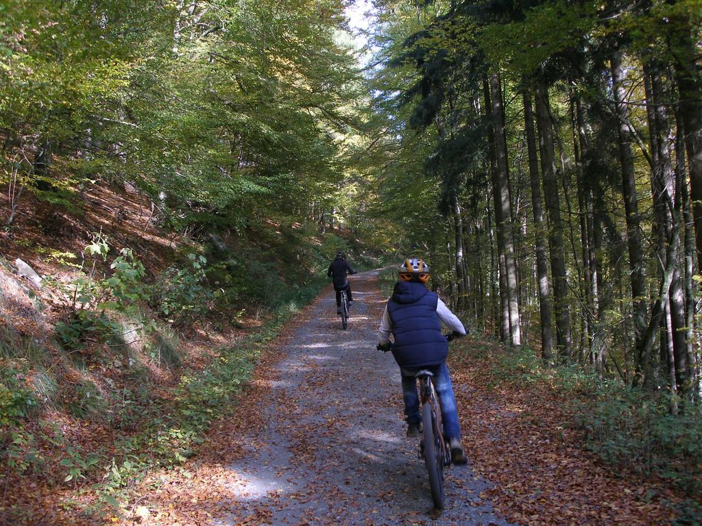 Pension Haus Waldfrieden, Meinecardplus Inklusive Willingen  Ngoại thất bức ảnh