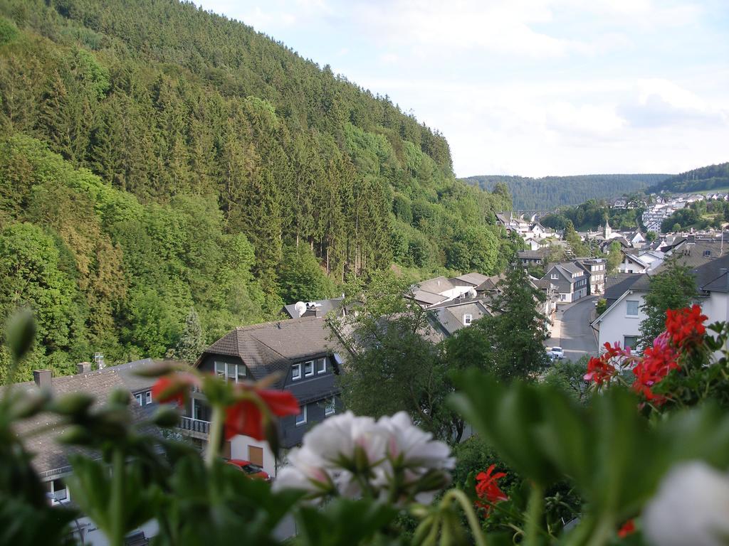 Pension Haus Waldfrieden, Meinecardplus Inklusive Willingen  Ngoại thất bức ảnh