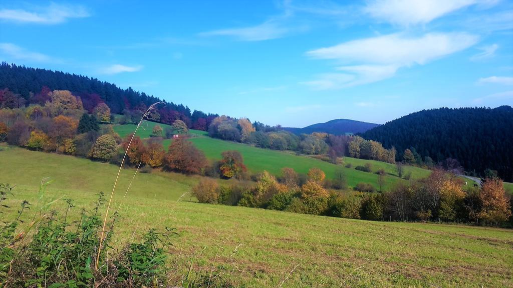 Pension Haus Waldfrieden, Meinecardplus Inklusive Willingen  Ngoại thất bức ảnh