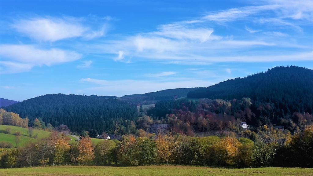 Pension Haus Waldfrieden, Meinecardplus Inklusive Willingen  Ngoại thất bức ảnh