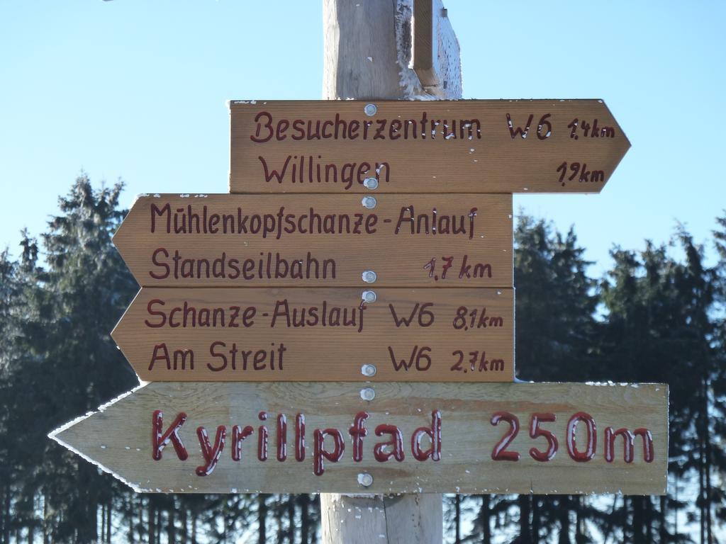 Pension Haus Waldfrieden, Meinecardplus Inklusive Willingen  Ngoại thất bức ảnh