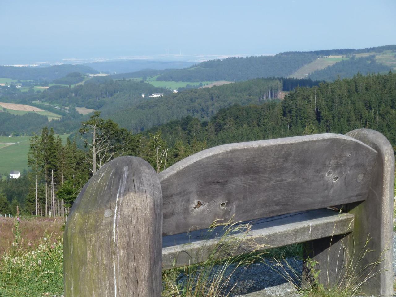 Pension Haus Waldfrieden, Meinecardplus Inklusive Willingen  Ngoại thất bức ảnh